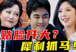 娱乐圈吃瓜吐槽博主小说,瓜田里的那些事儿